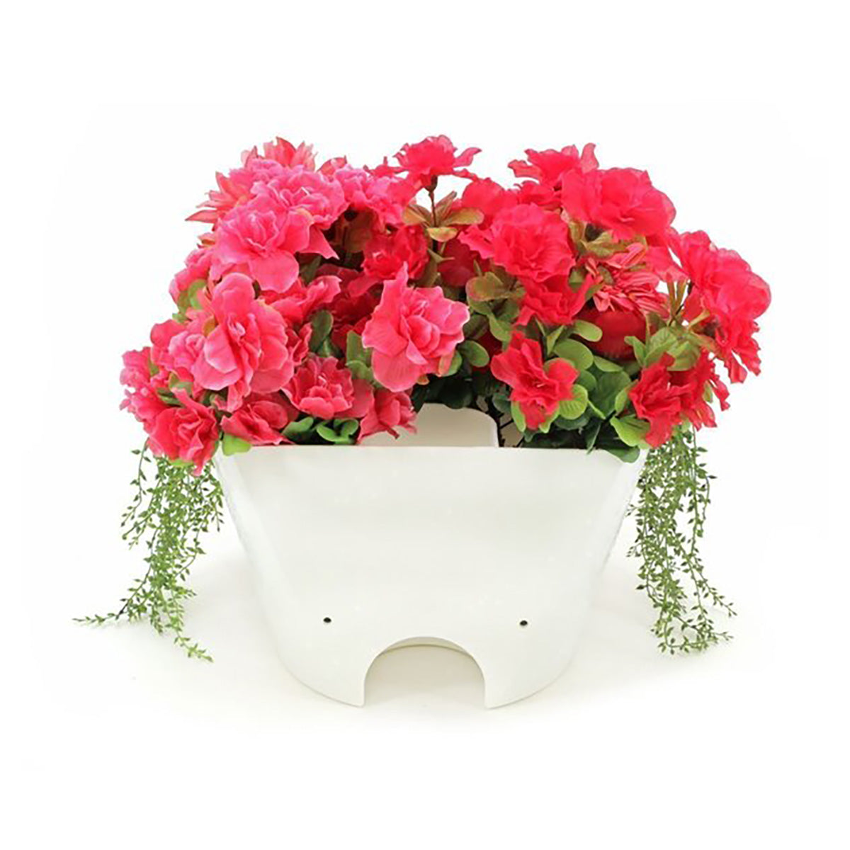 White planter with pink and red flowers on a white background