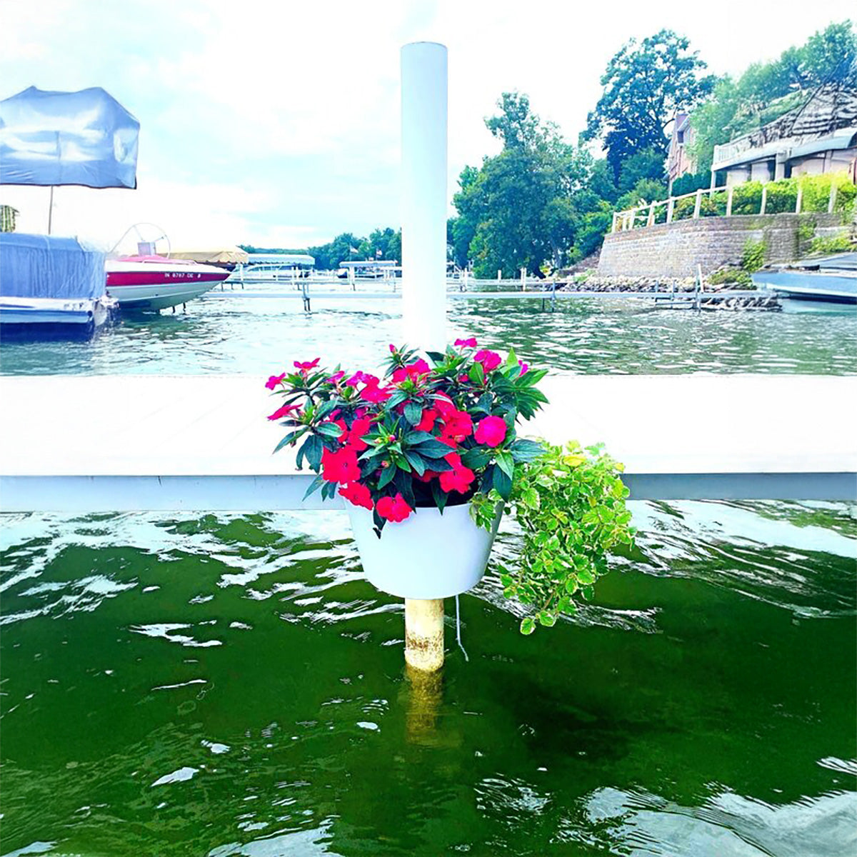 Floral arrangement in a white toilet bowl floating on water with boats and trees in the background.