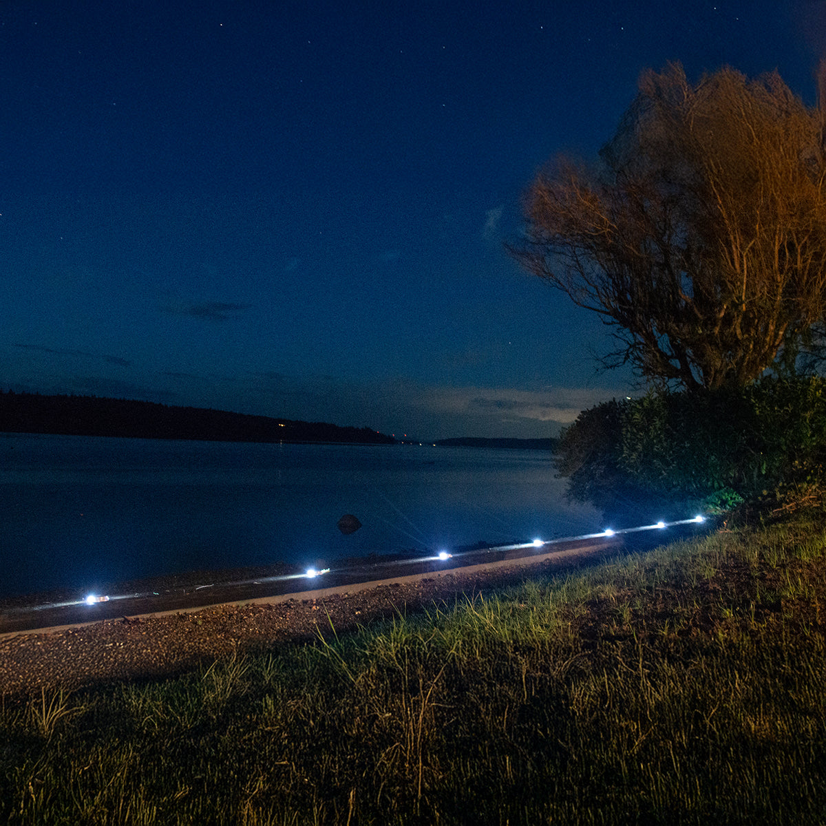 Evening scene by a lake with lights along a path and trees.