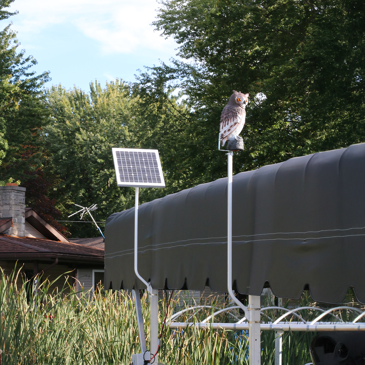 Great Horned Owl Scare Kit