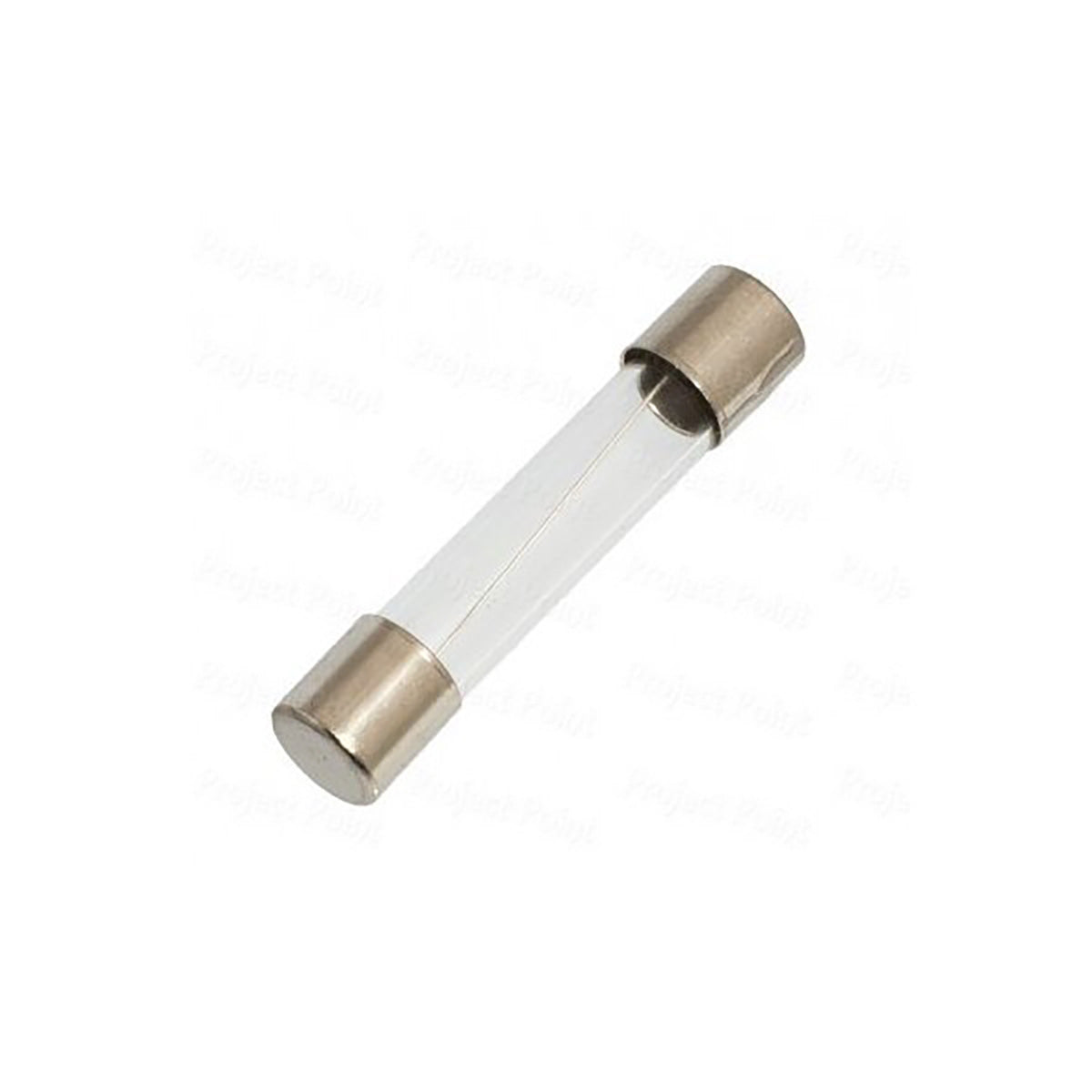 3 Amp Quick Blow Fuses & Springs (2 pack)