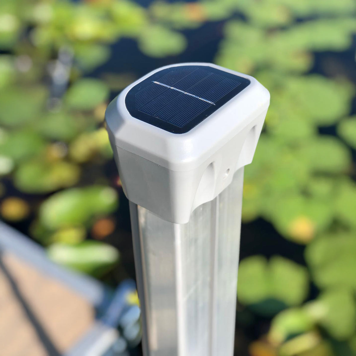 Solar-powered outdoor light fixture with a blurred green foliage background