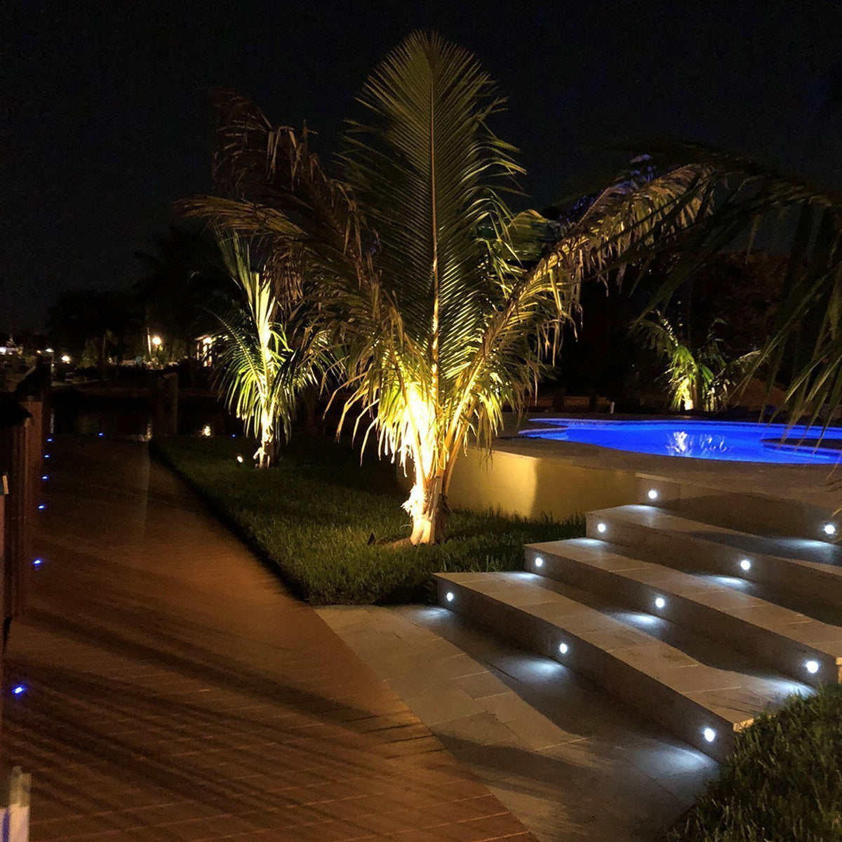 Evening view of a pool area with palm trees and steps illuminated by lights.