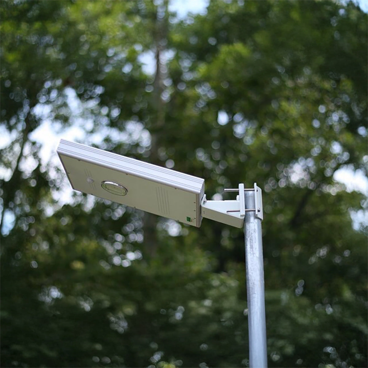 Street light with trees in the background