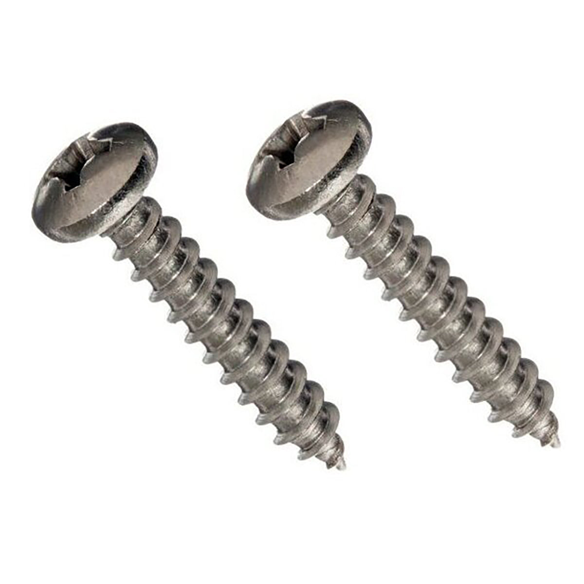 Two metal screws on a white background