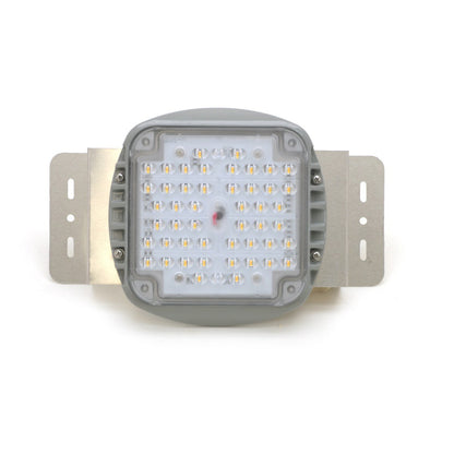LED light module with visible LEDs on a white background