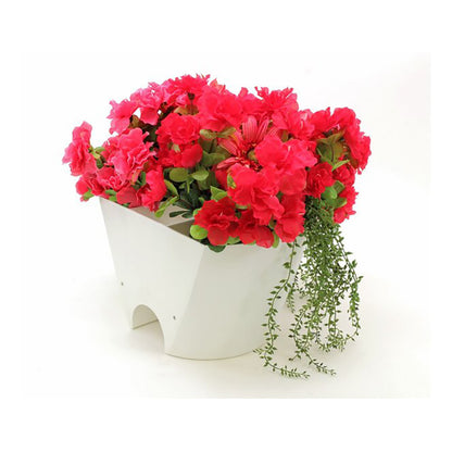 White shoe-shaped planter with red flowers on a white background