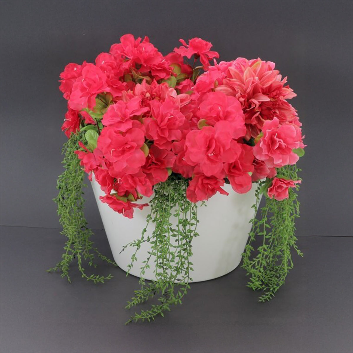 Potted plant with pink flowers and green leaves on a gray background