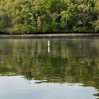 Buoy floating in a calm lake with trees in the background