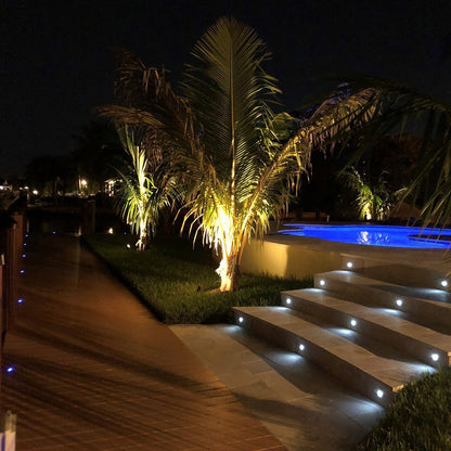 Evening view of a pool area with palm trees and steps illuminated by lights.