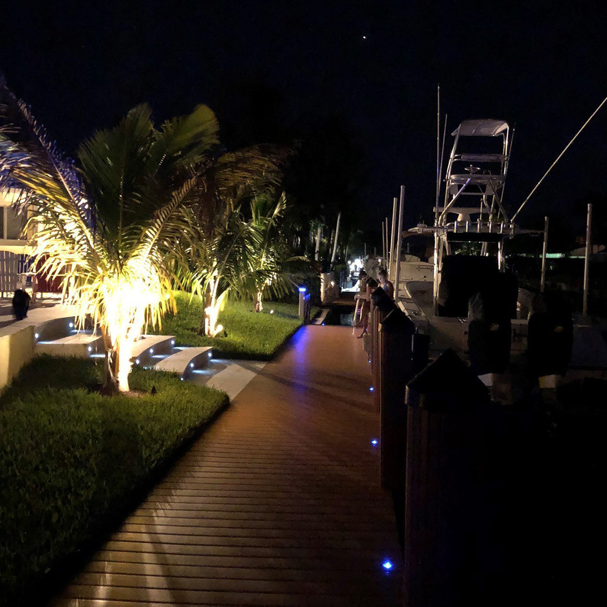 Evening scene of a dock with palm trees and a wooden walkway.