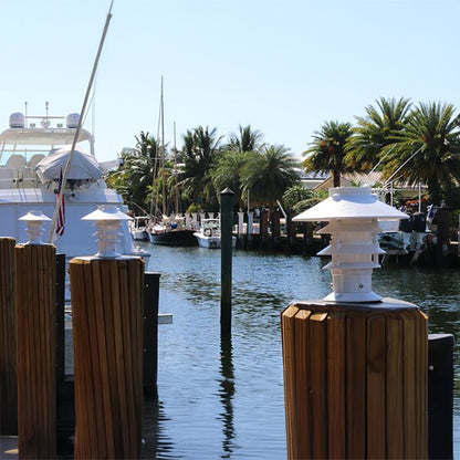 Marina scene with boats, palm trees, and dock lights.