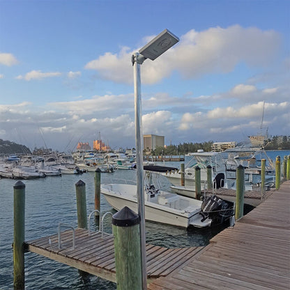 Marina scene with dock, boats, and a street light under a cloudy sky.